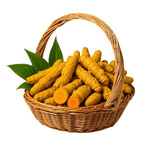 Turmeric fingers