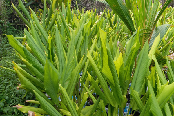 untitled design (12)